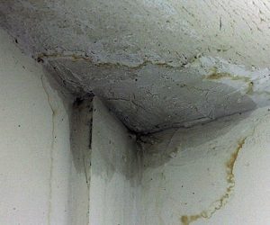 Hydramark - Detecção de Vazamentos e Infiltrações (5)