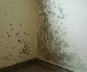 Hydramark - Detecção de Vazamentos e Infiltrações (6)